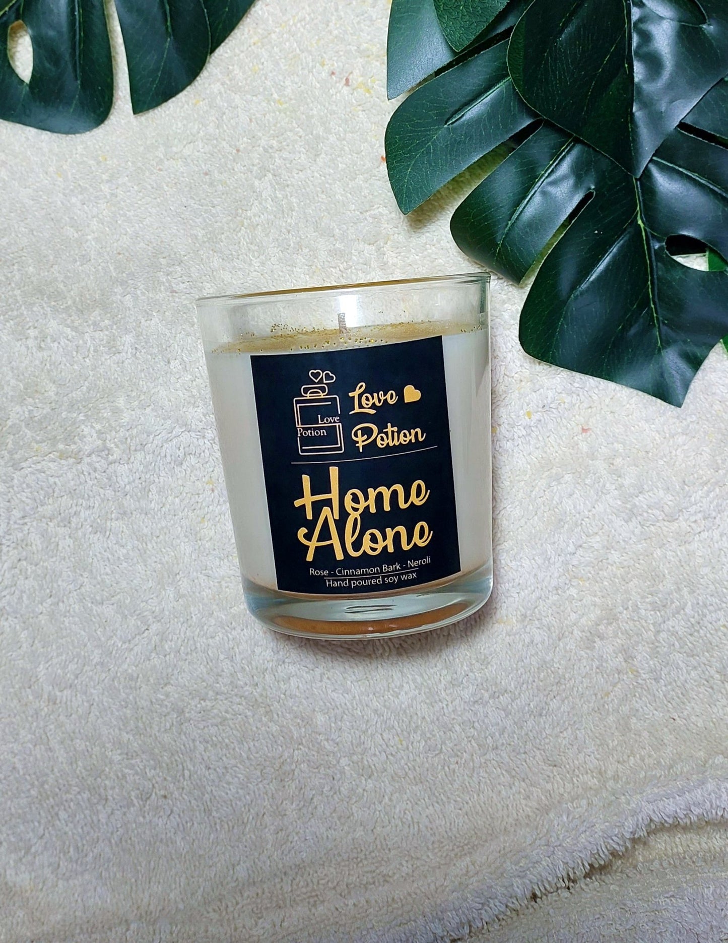 Home alone - Lovepotion